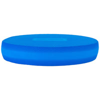 Oval Balance Pads (Pair) in Blue - Studio Accessories