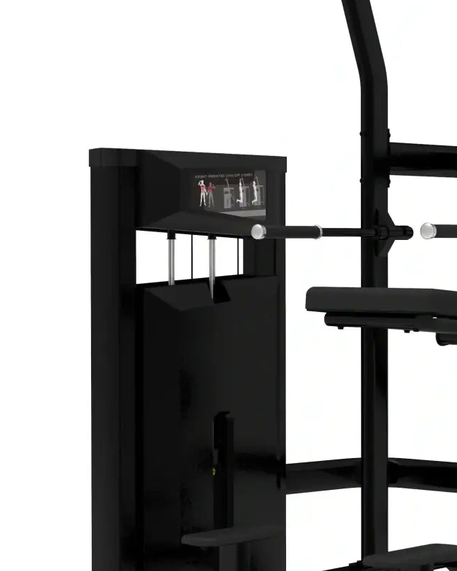 Platinum Series Assisted Chin / Dip | For Home Gyms - Pin Loaded