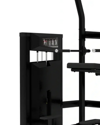 Platinum Series Assisted Chin / Dip | For Home Gyms - Pin Loaded