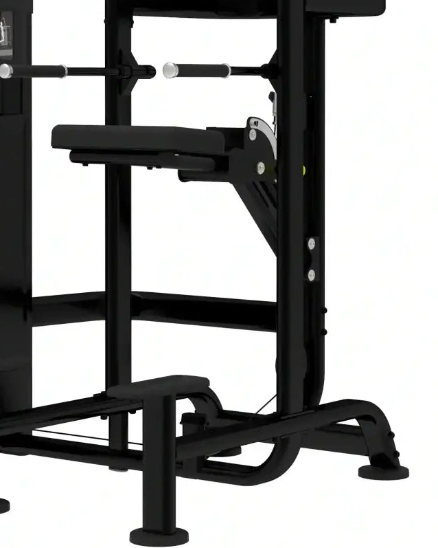 Platinum Series Assisted Chin / Dip | For Home Gyms - Pin Loaded