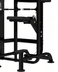 Platinum Series Assisted Chin / Dip | For Home Gyms - Pin Loaded