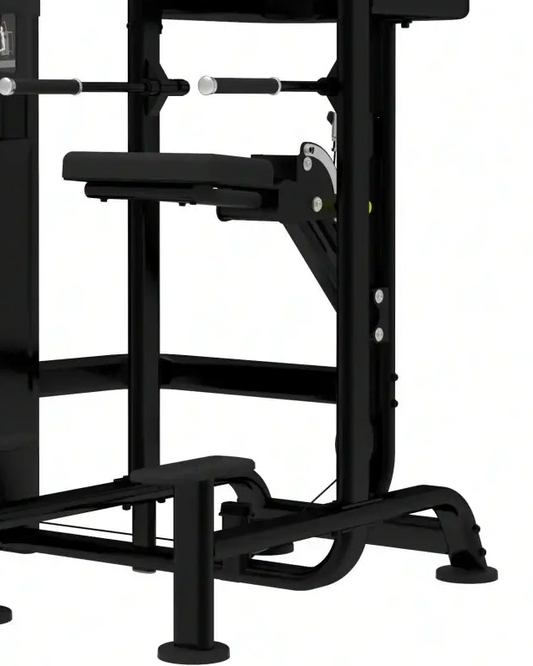Platinum Series, Assisted Chin / Dip | For Home Gyms