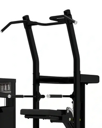 Platinum Series Assisted Chin / Dip | For Home Gyms - Pin Loaded