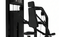 Platinum Series Seated Dip | Home Workout - Pin Loaded