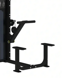 Pro Series Assisted Chin / Dip | Compact Design - Pin Loaded