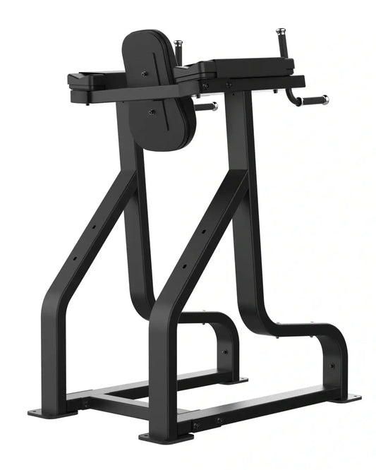 Sterling Series, Vertical Knee Raise | Home Fitness