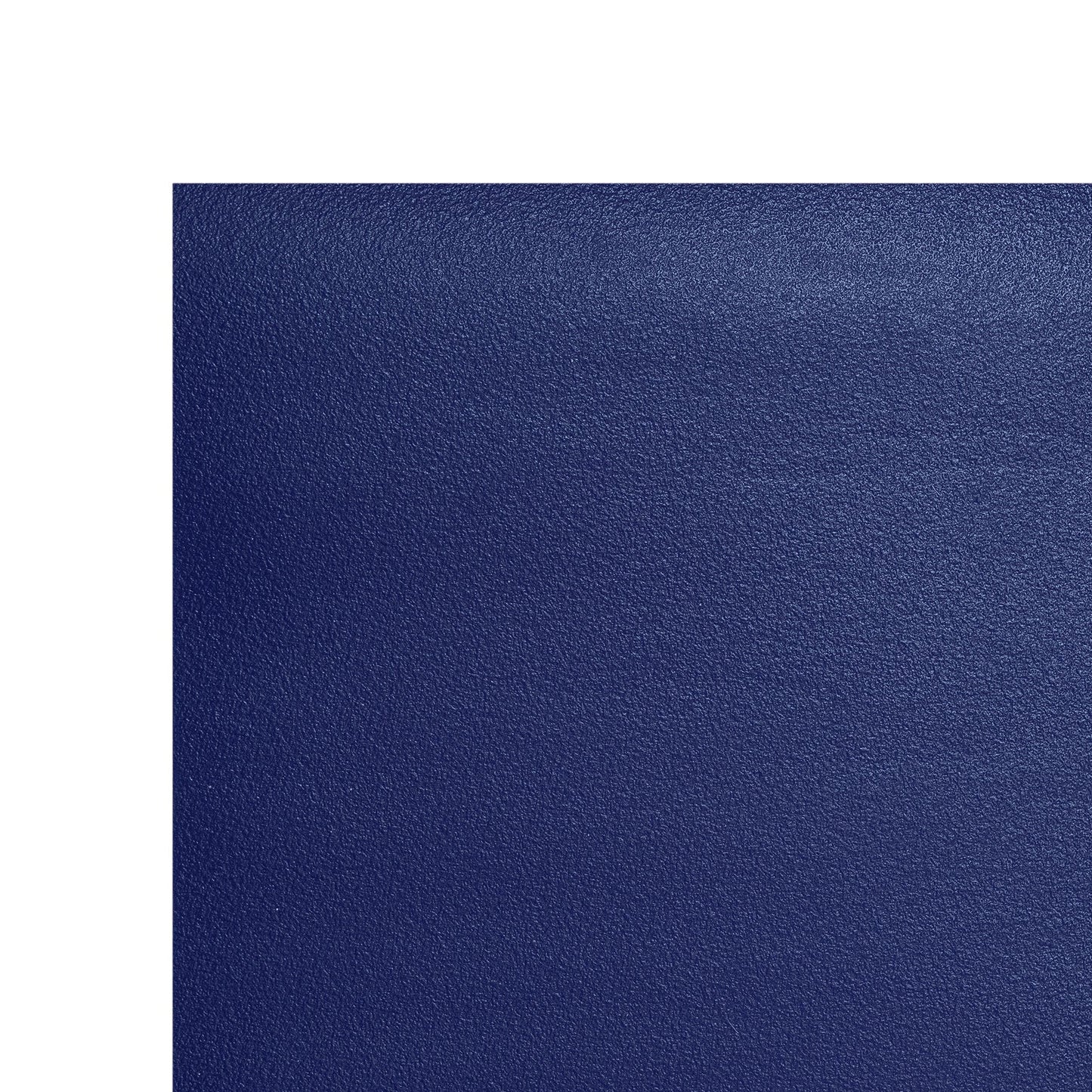 SureGrip Eco Alignment Yoga Mat - 4mm - Studio Accessories
