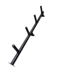 Black metal wall-mounted weight plate storage rack with four cylindrical pegs for barbells or dumbbells